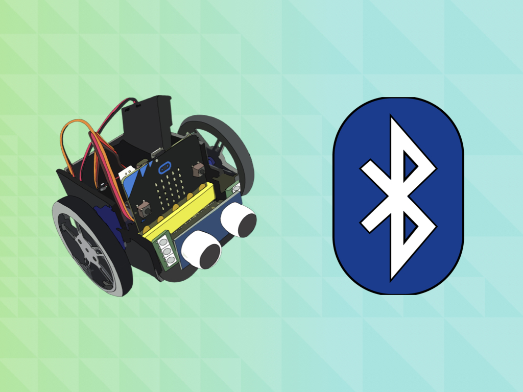 Bluetooth Controller with Bird Bot